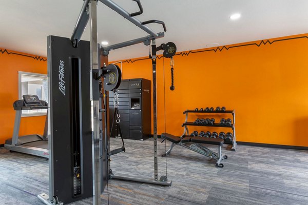 fitness center at Newport Apartments