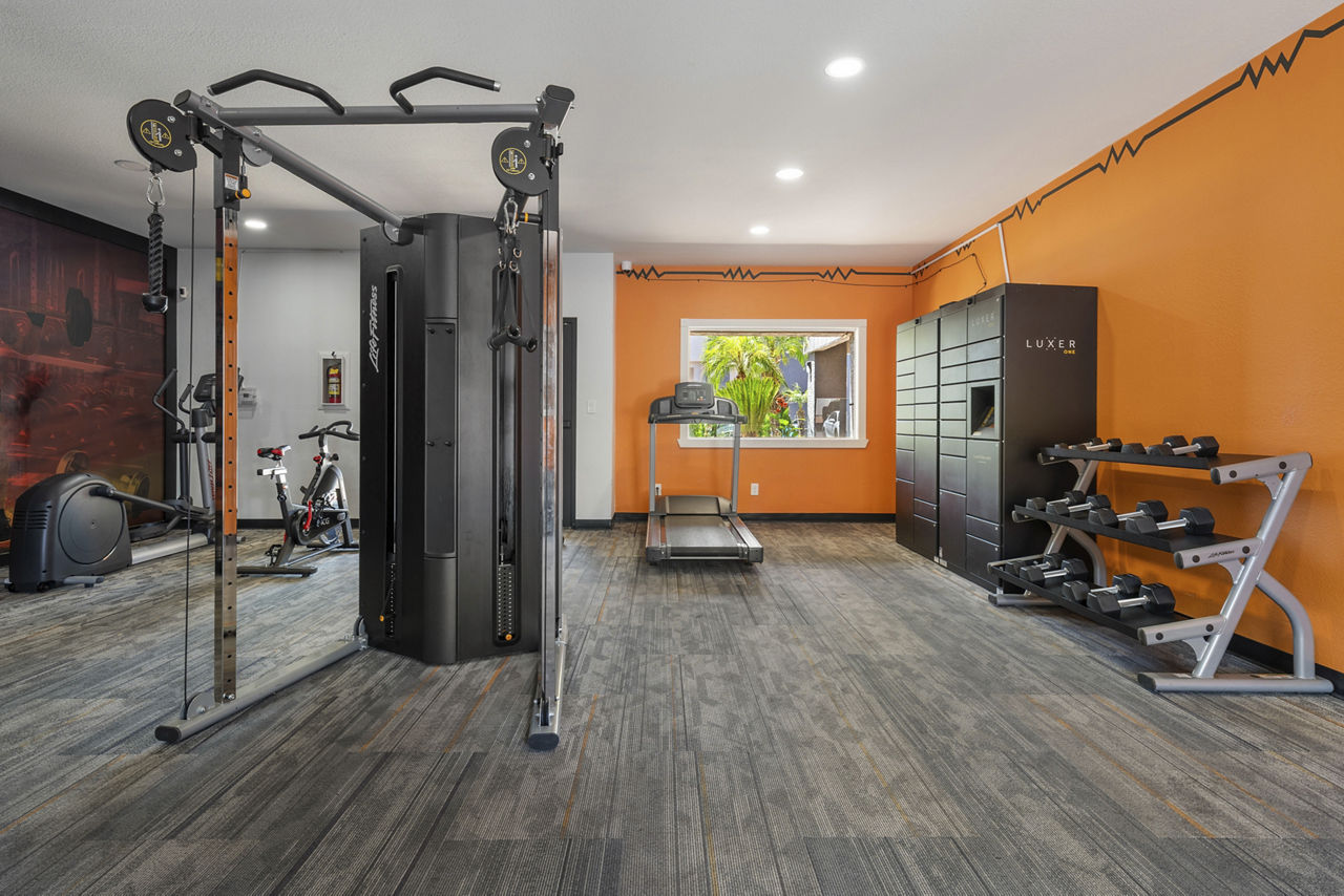 Gym at Newport (2 of 3)