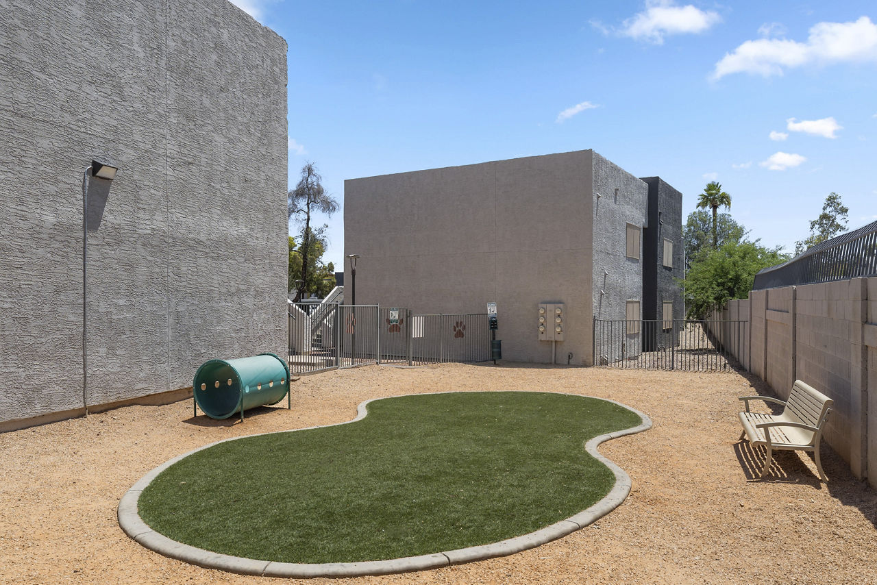 Dog park at Newport