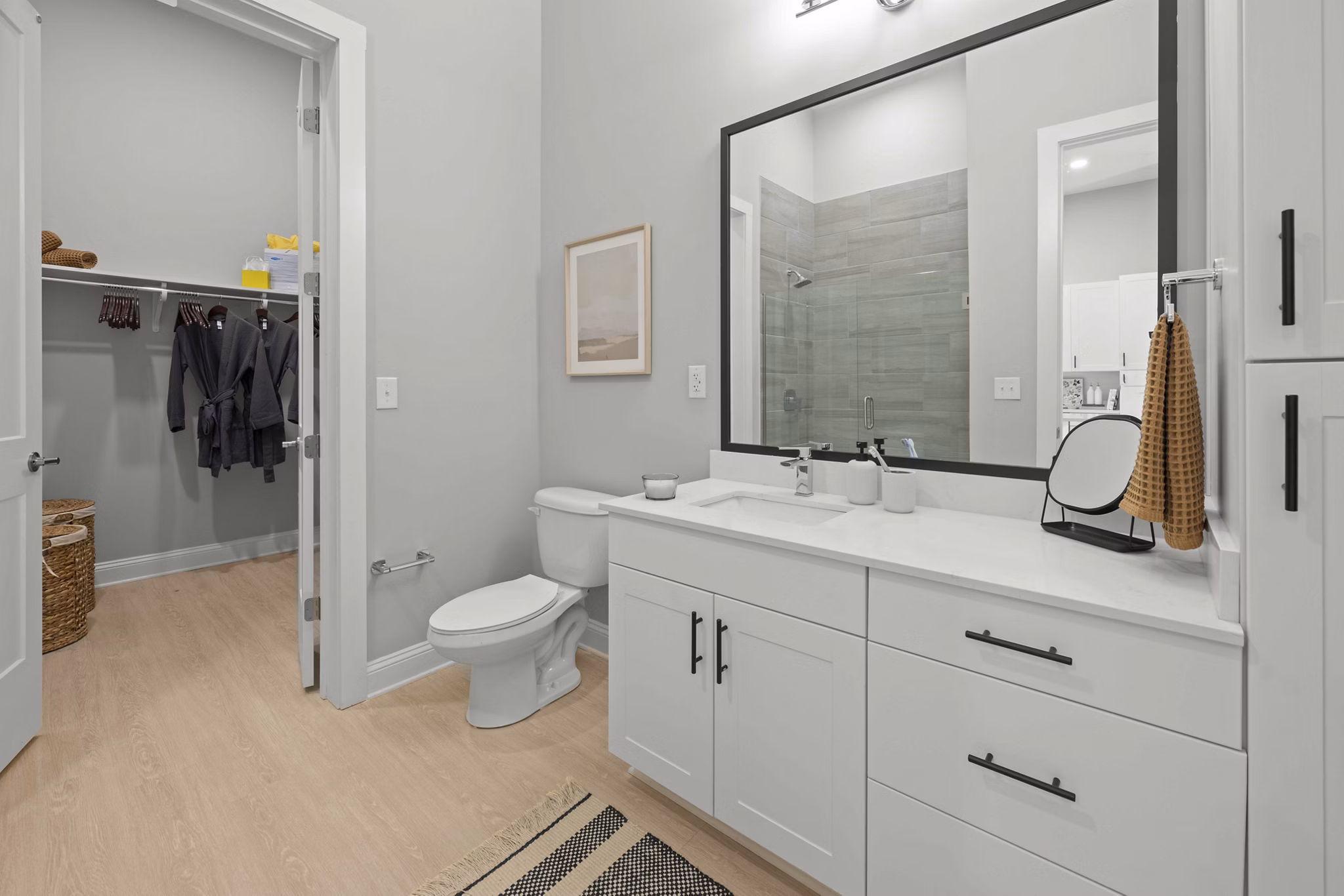 rendering for Solis Birkdale Apartments