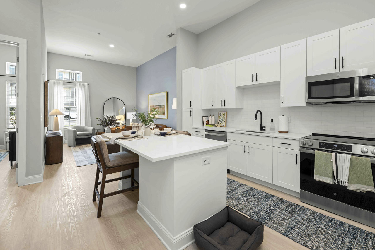 Solis Birkdale Apartments And Townhomes Huntersville Nc 2 of 12
