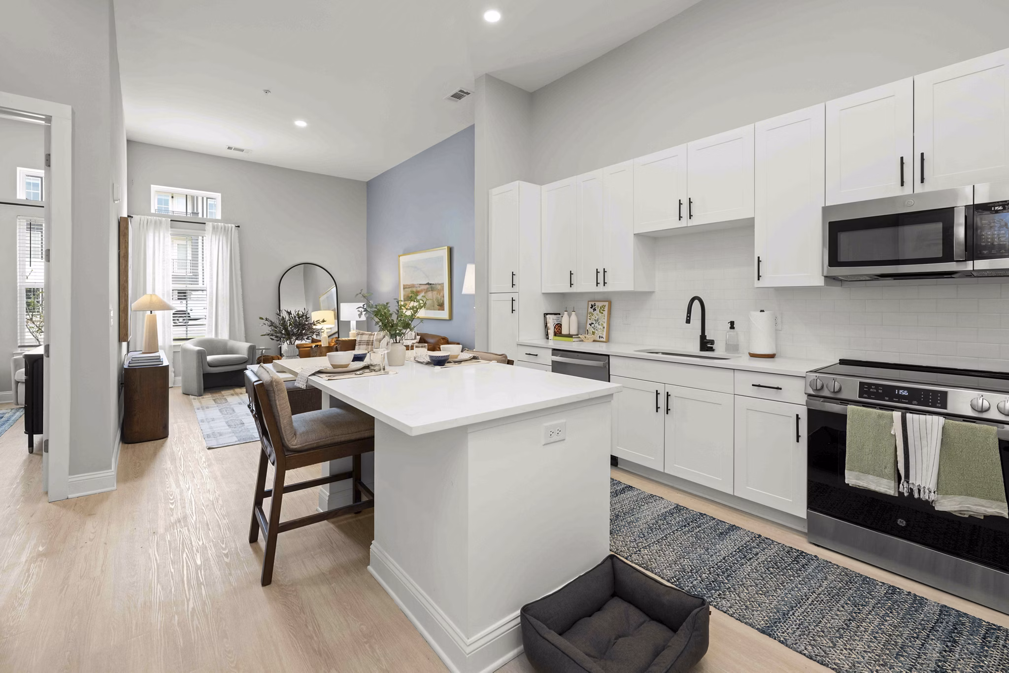 rendering for Solis Birkdale Apartments