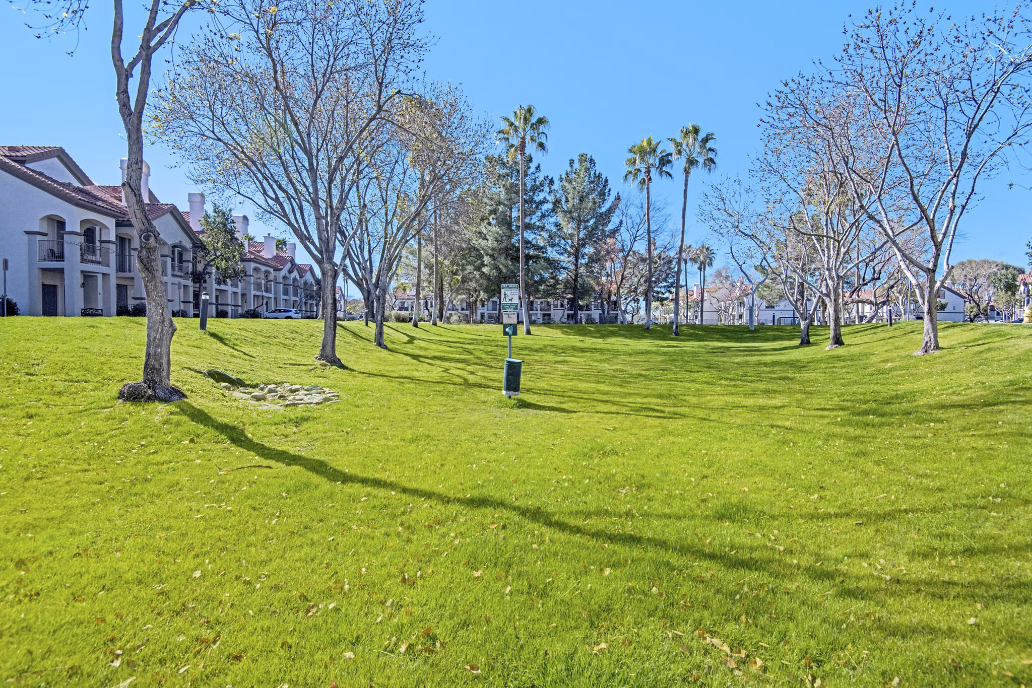 dog park at The Catherine Apartments
