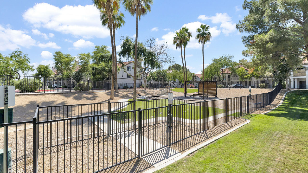 Dog park at The Catherine (1 of 2)