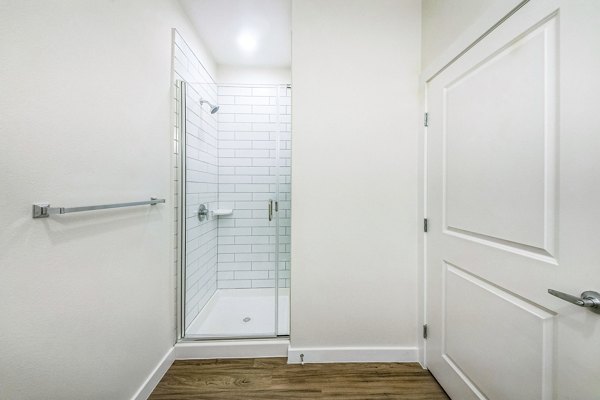 bathroom at Summit at Renaissance Park Apartments
