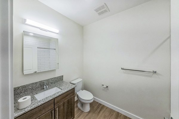 bathroom at Summit at Renaissance Park Apartments