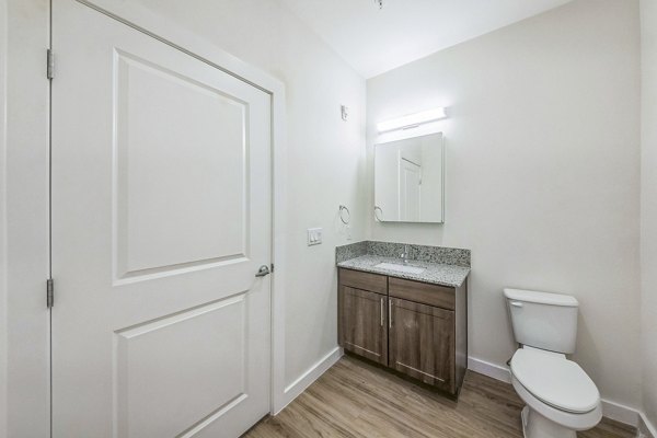 bathroom at Summit at Renaissance Park Apartments