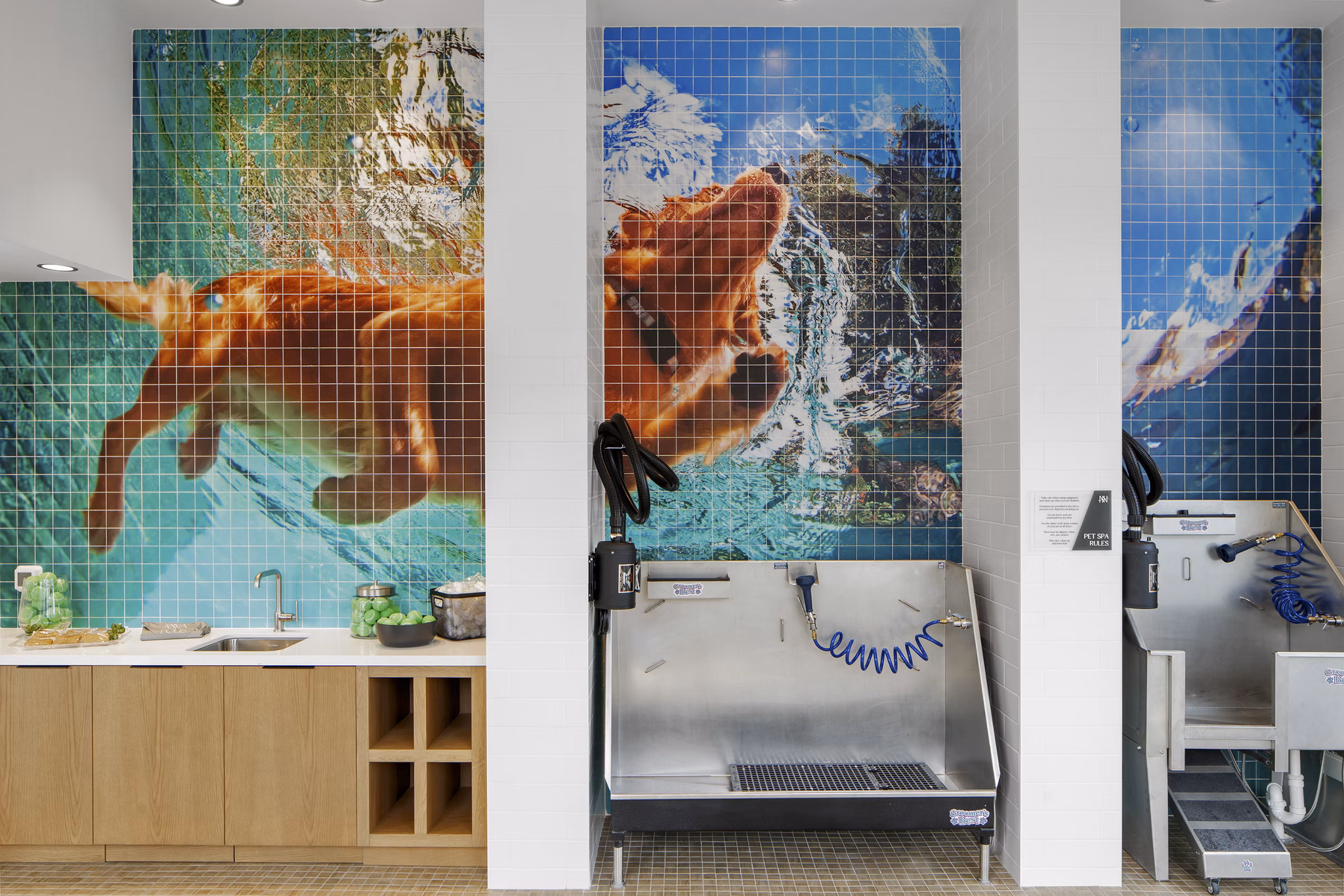 dog wash station at Aventon Annapolis Apartments