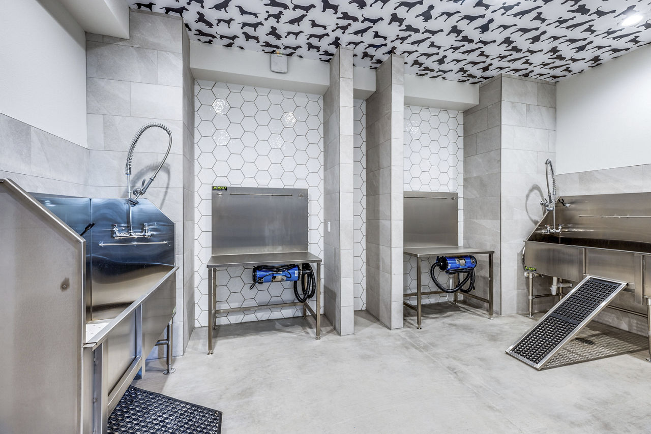 Pet wash at Alpine Ten55