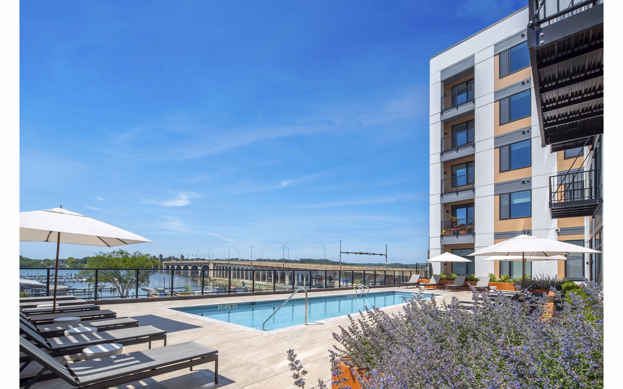 pool at The Frank Apartments