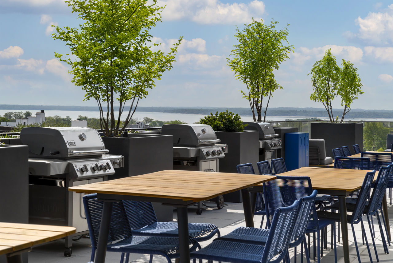 Roof deck at 25 Maple (3 of 5)