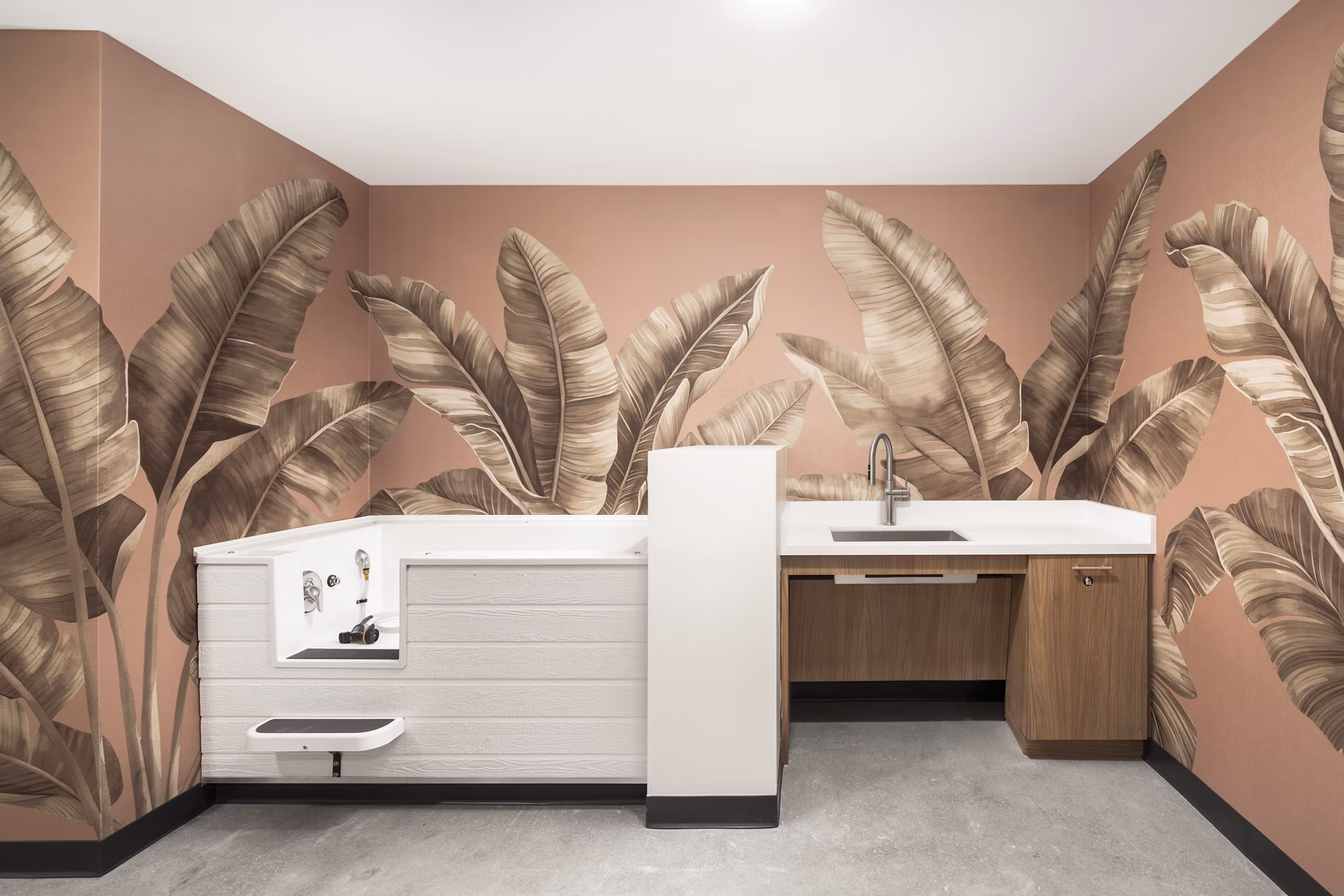 clubhouse at Ancora Apartments 