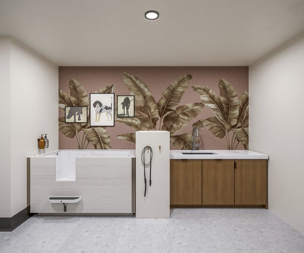 rendering at Ancora Apartments