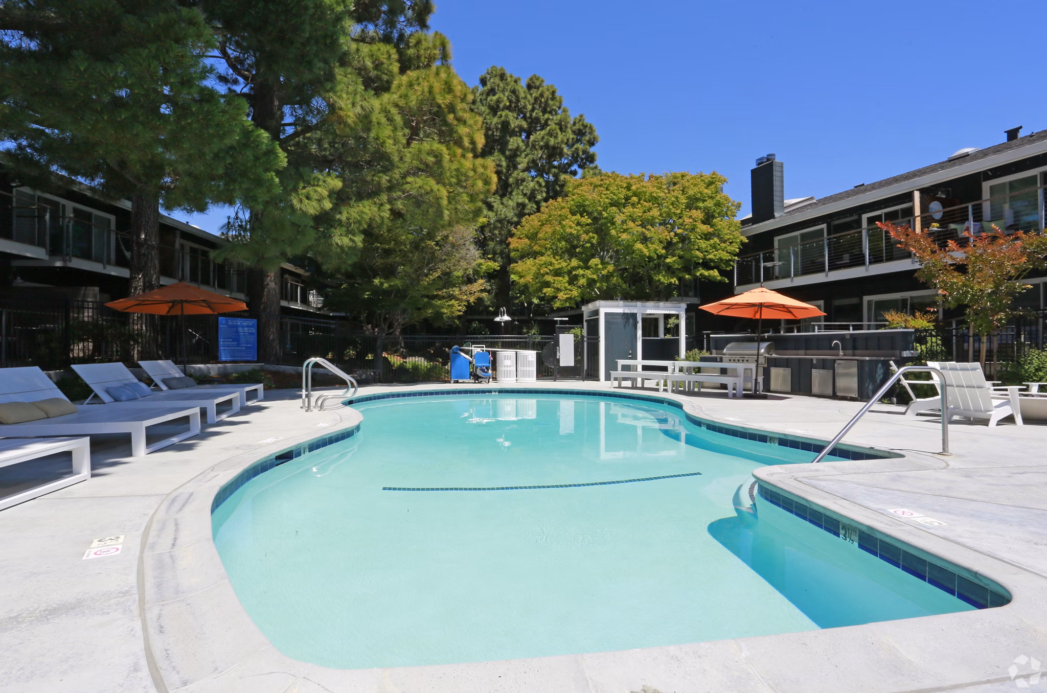 pool at The Cove at Tiburon Apartments