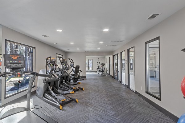 rendering at Avana Lake Lynn Apartments
