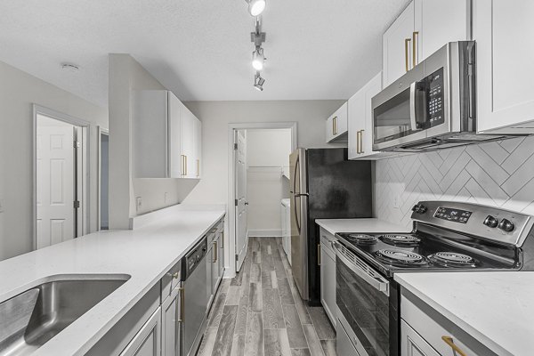 rendering at Avana Lake Lynn Apartments