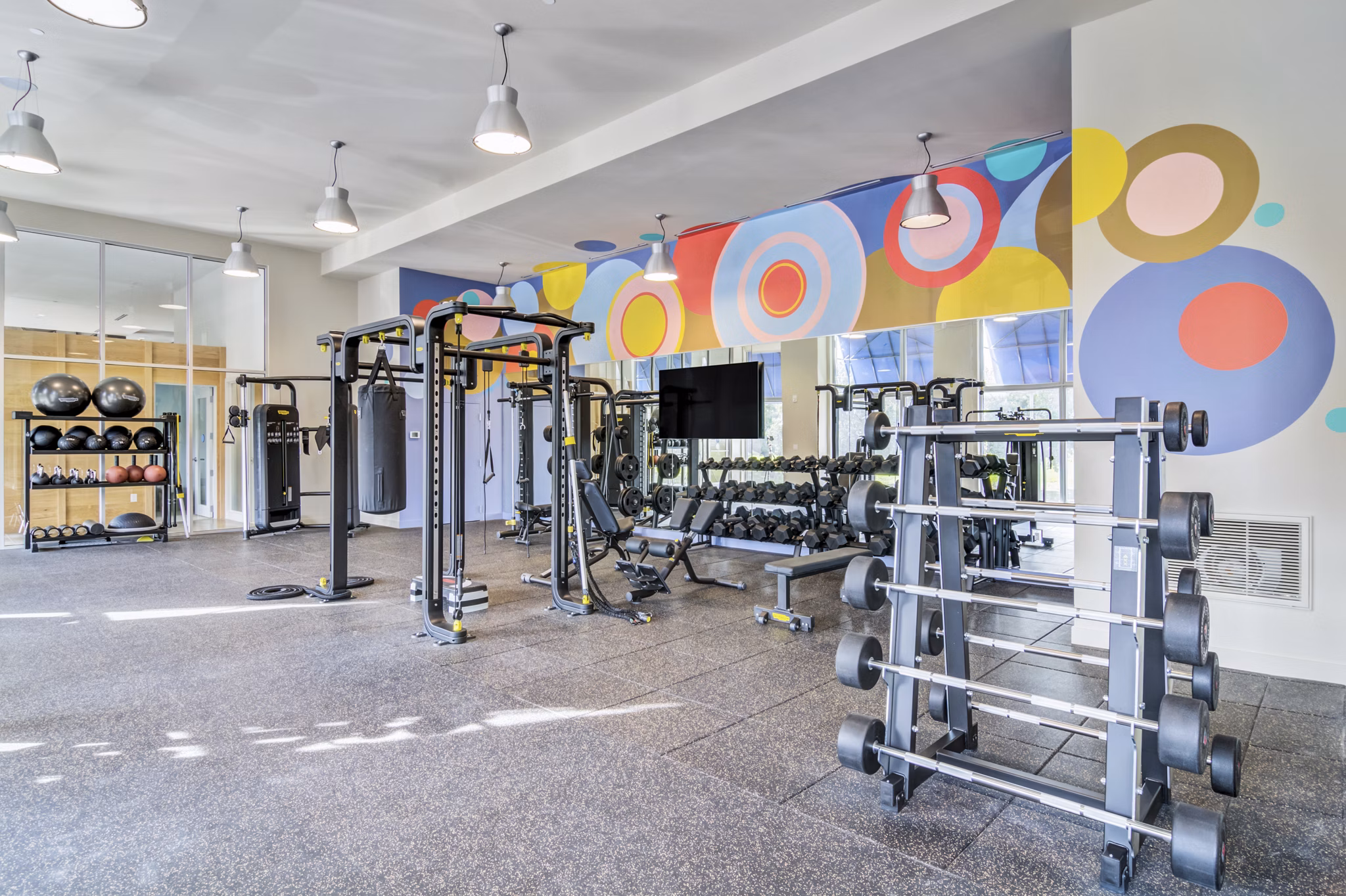 fitness center at The Robinson Apartments