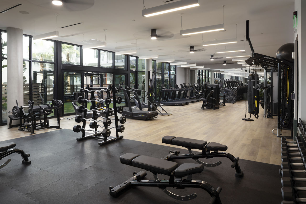 Gym at Alexan Camellia (2 of 2)