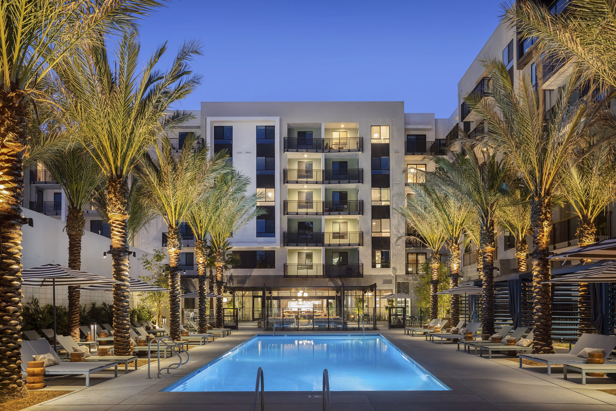 Pool at Alexan Camellia Apartments