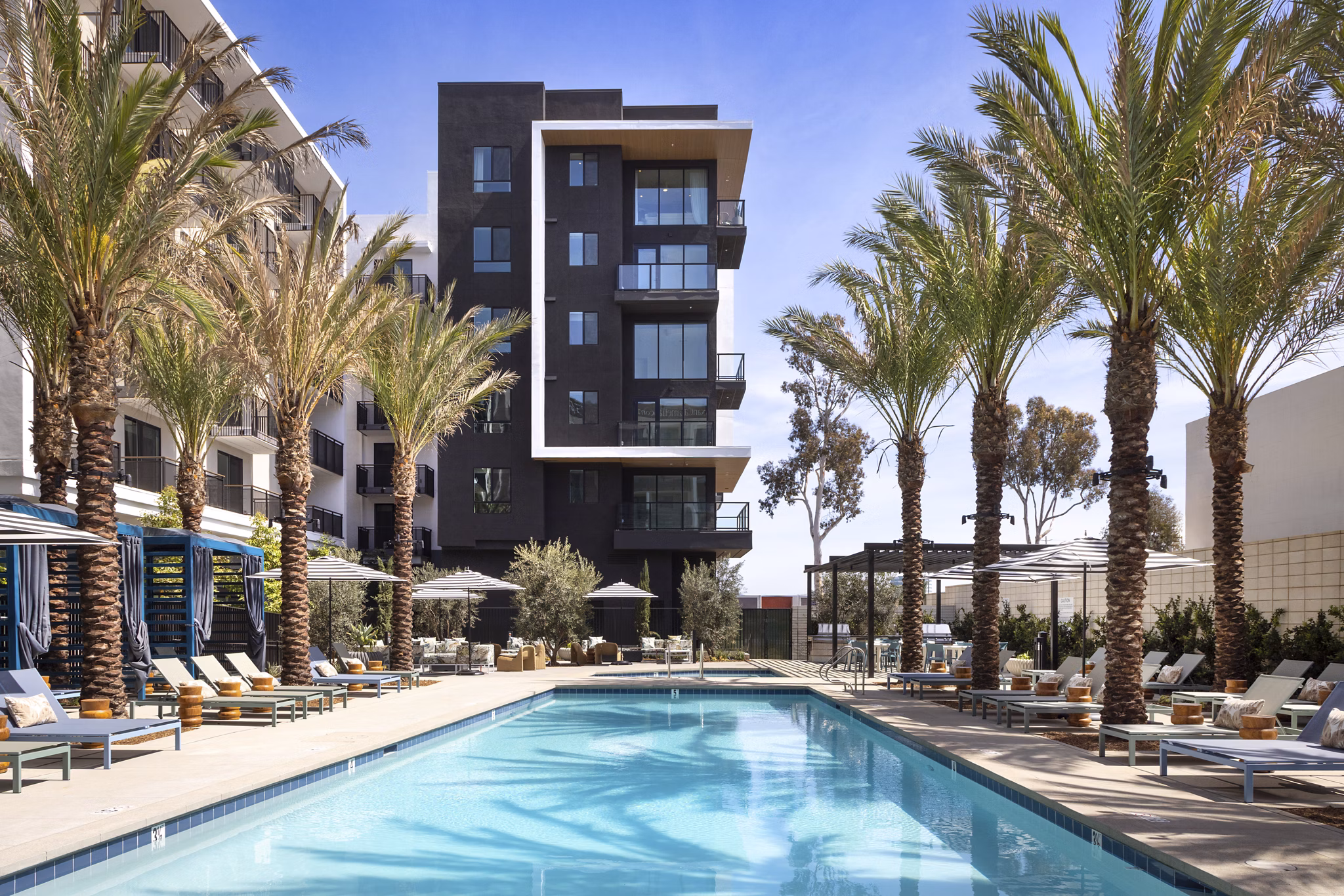 Pool at Alexan Camellia Apartments