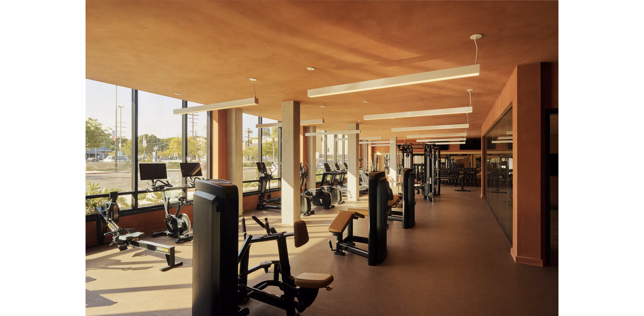 Fitness Center at Rowyn Apartments