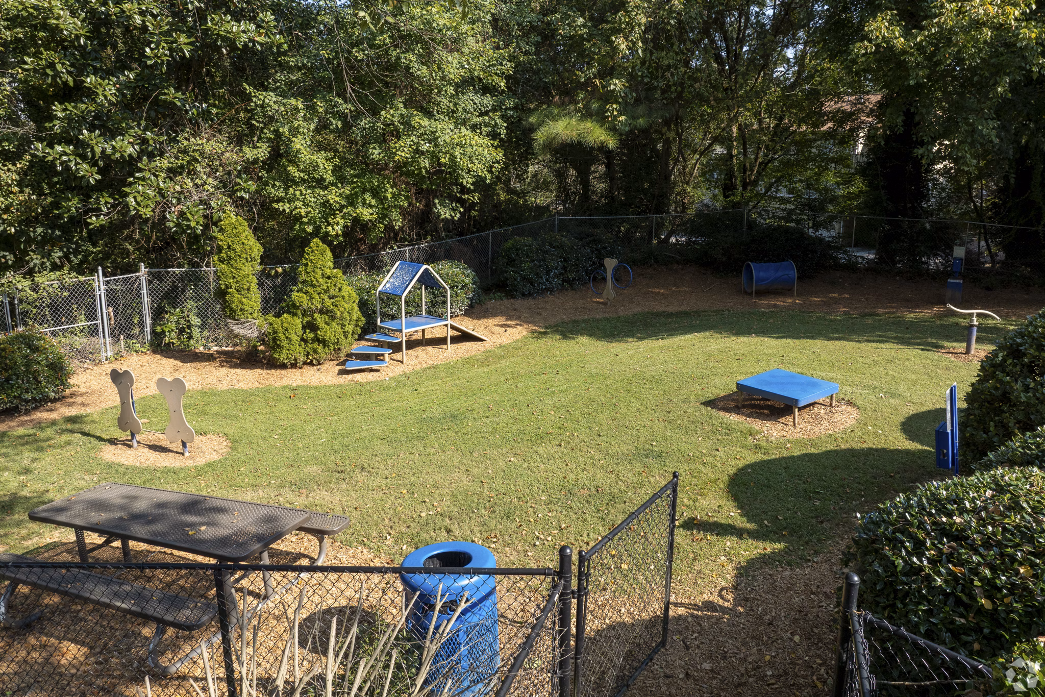 dog park at Aqua at Sandy Springs Apartments
