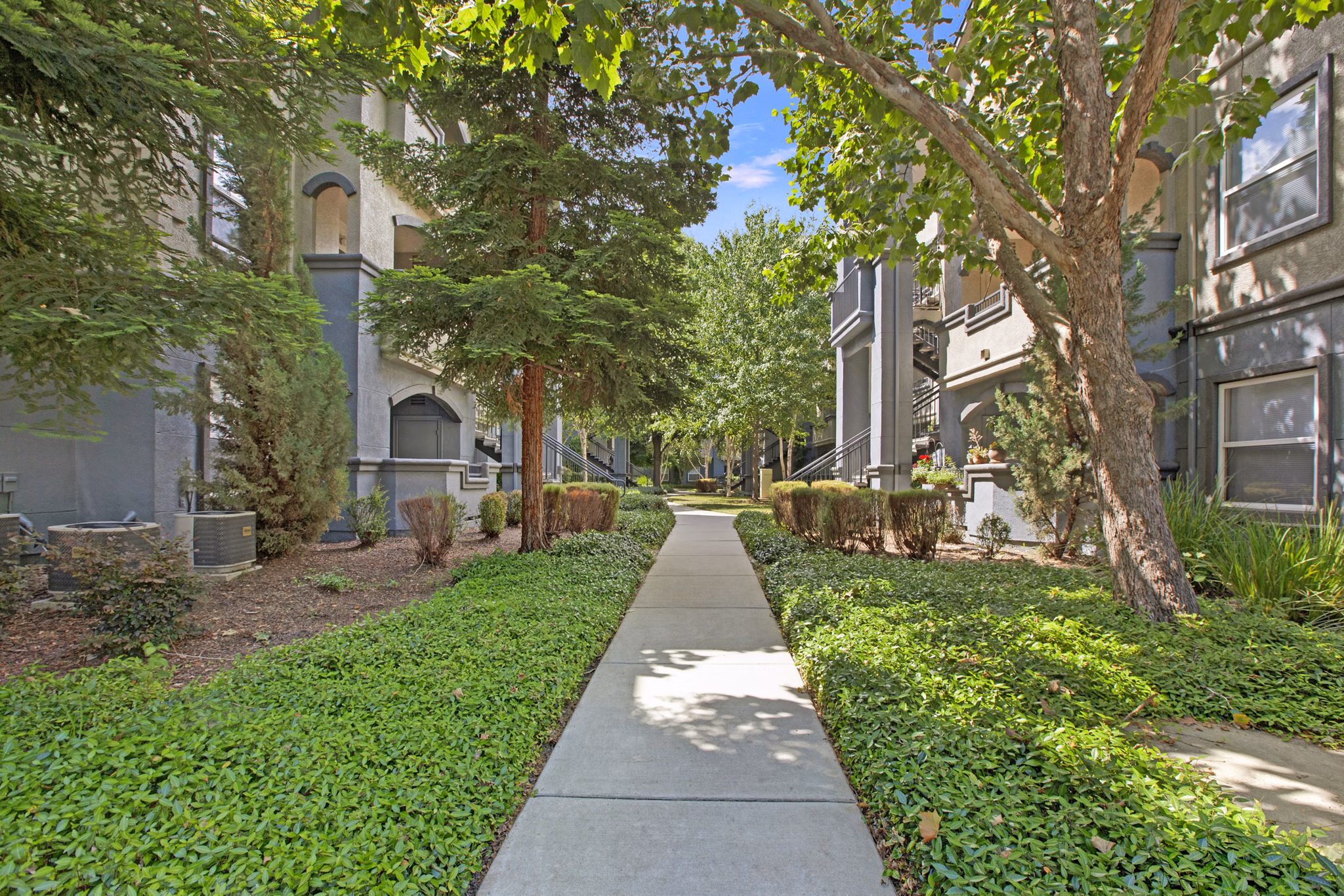 exterior at Broadleaf Apartments