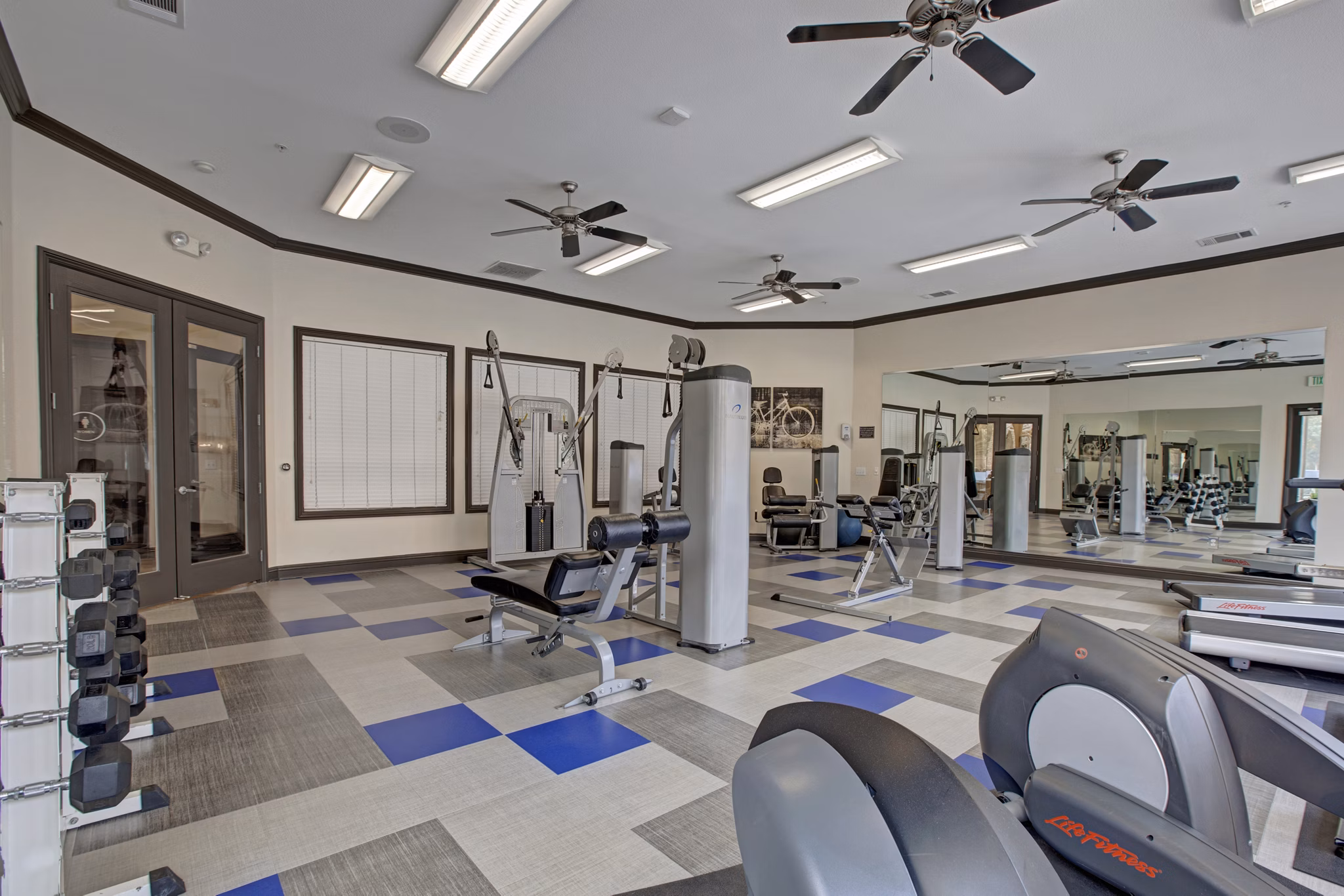fitness center at Broadleaf Apartments
