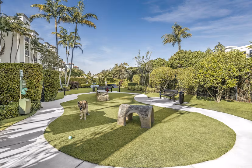 dog park at Cordoba Apartments