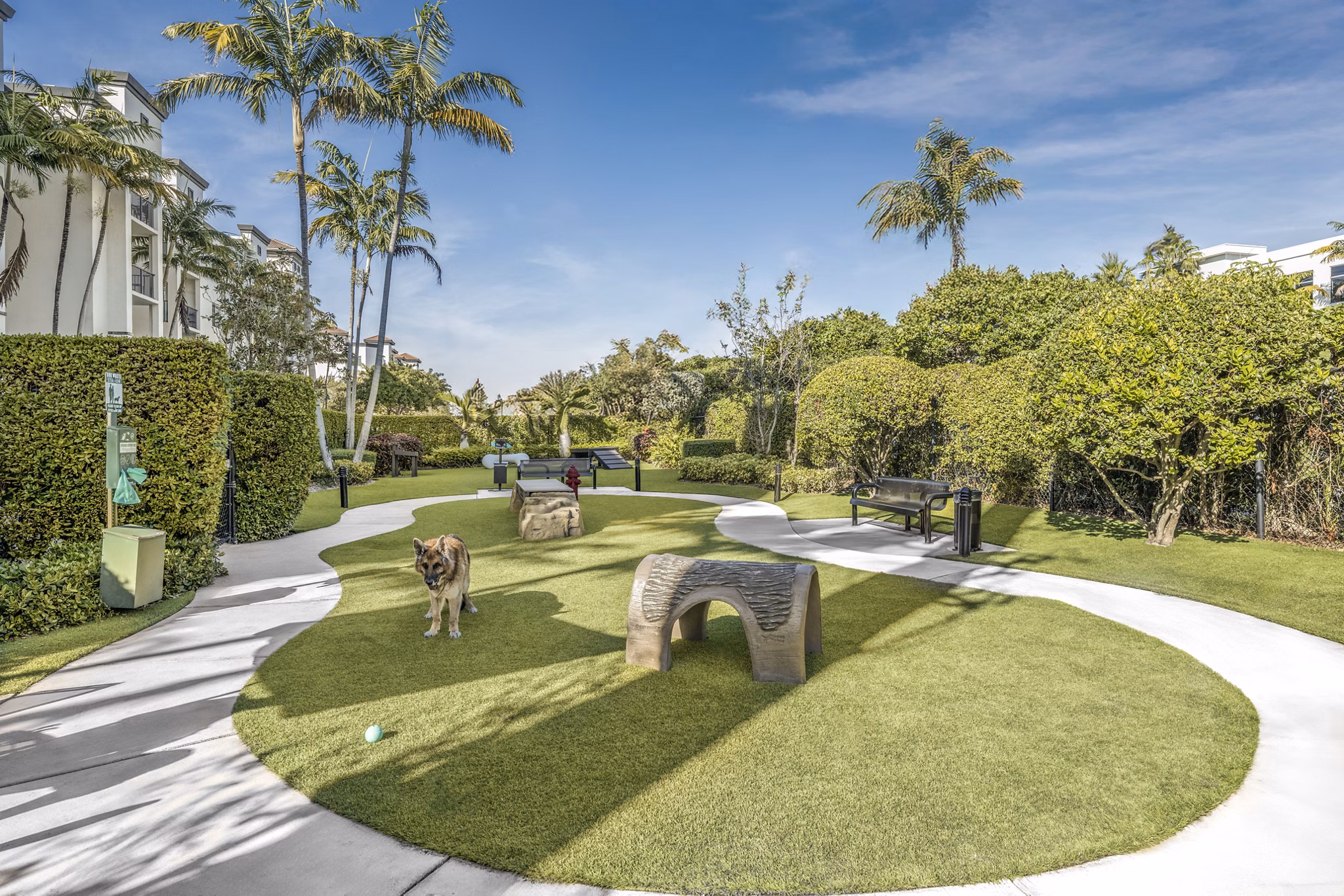 dog park at Cordoba Apartments