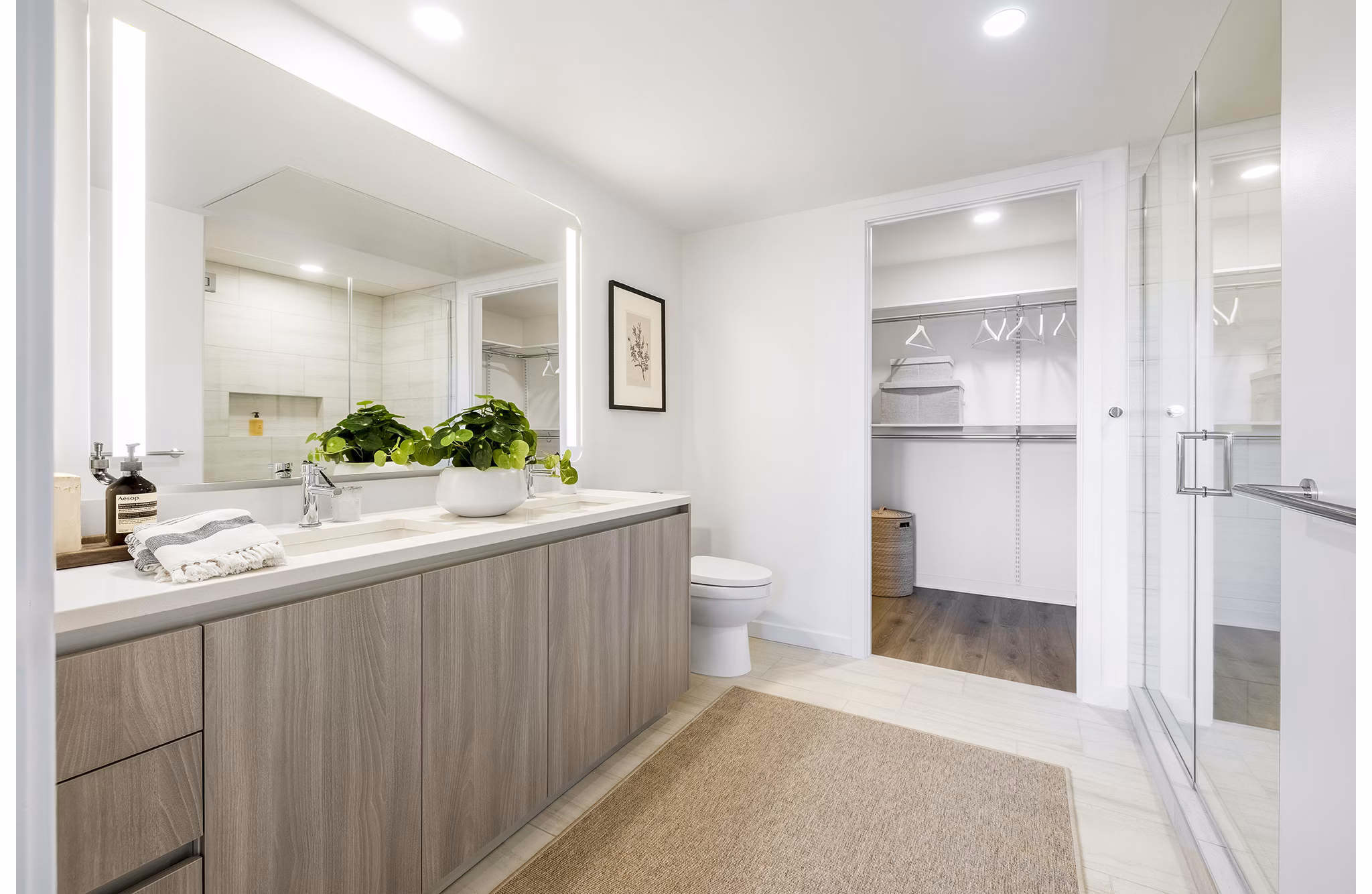 rendering at Zephyr Apartments