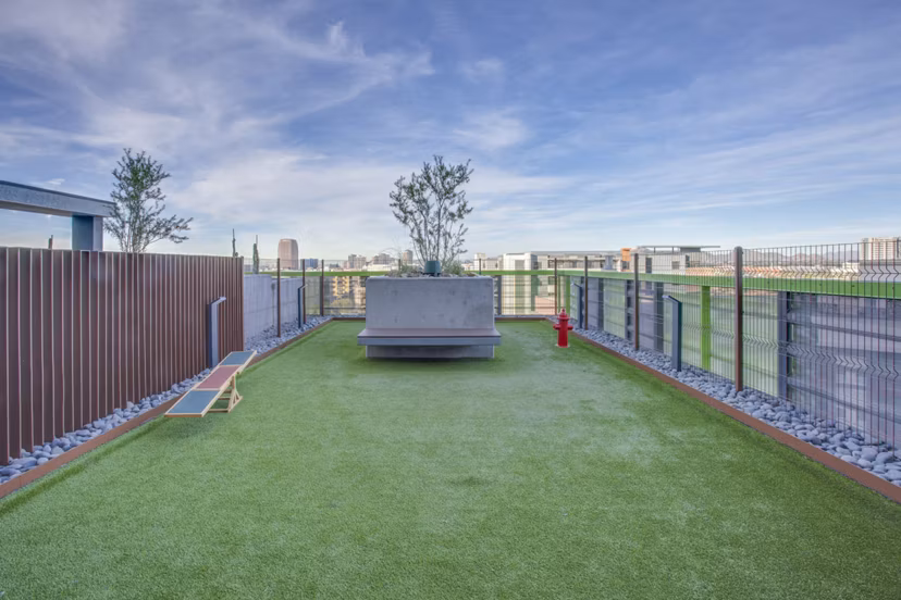 dog park at Altura Apartments