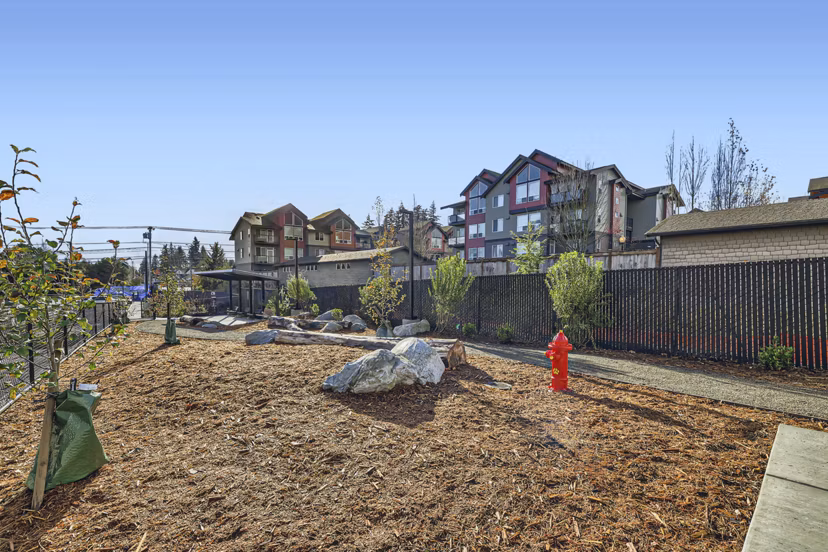 dog park at Knox Apartments 