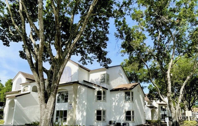Emerald Grove Orlando Fl 5 of 12