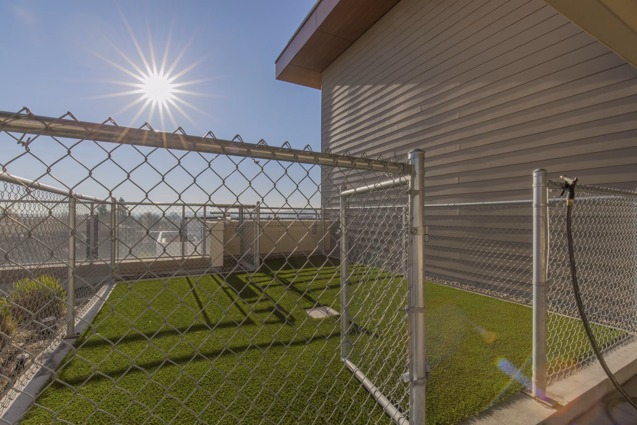 dog park at The Linden Apartments