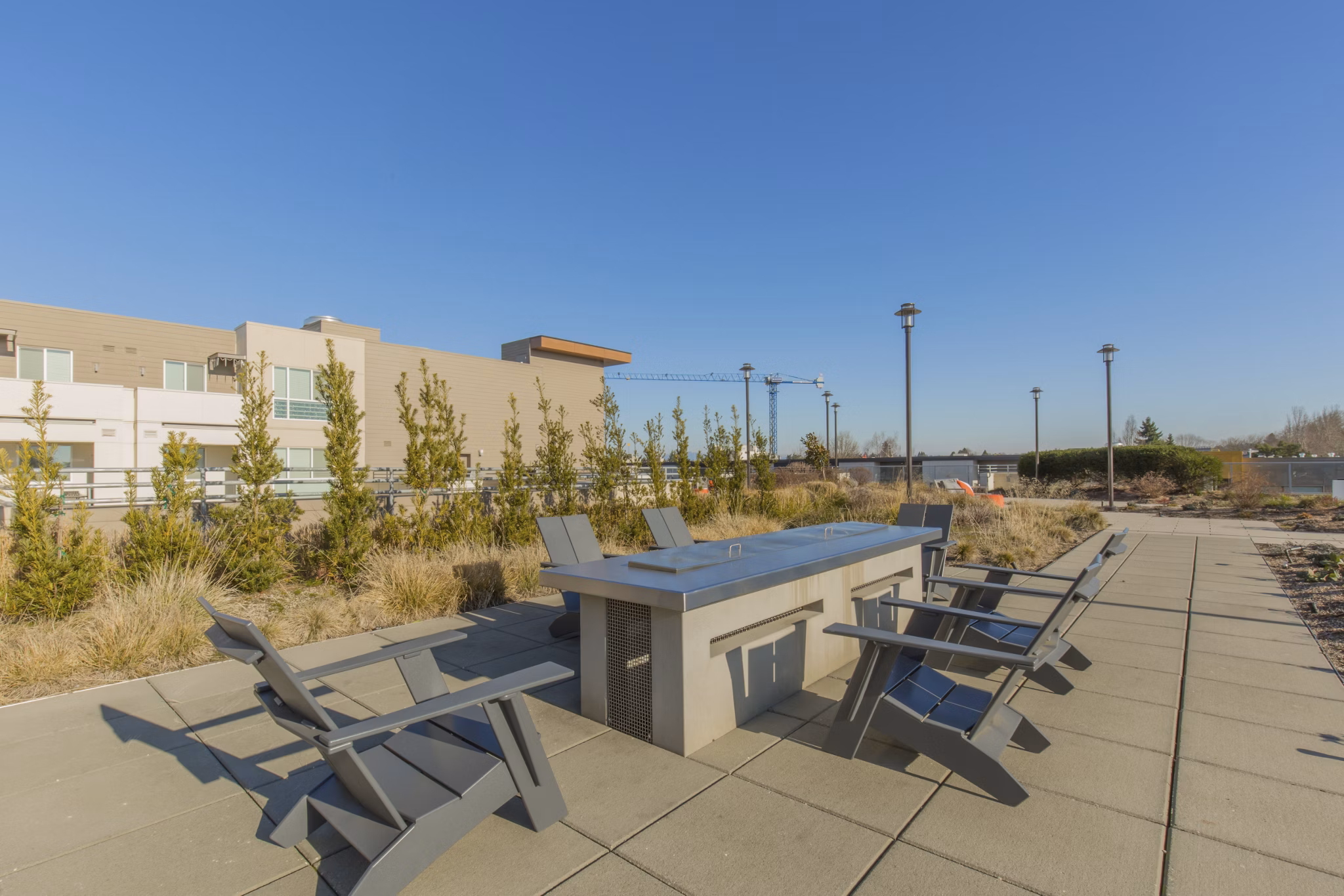 fire pit at The Linden Apartments