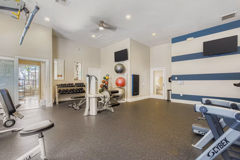 fitness center at The Livingston Apartments
