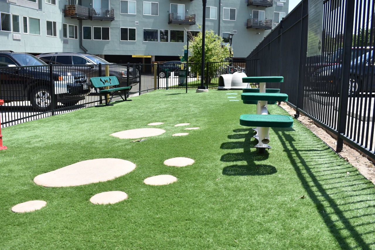 Dog park at Lohi Gold