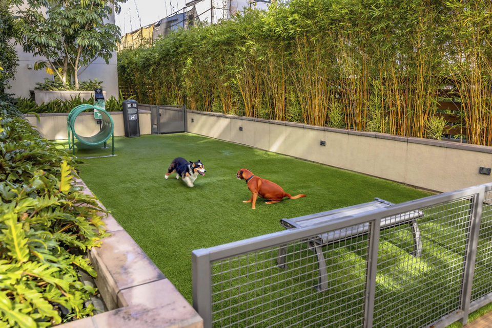 dog park at The Highland Apartments