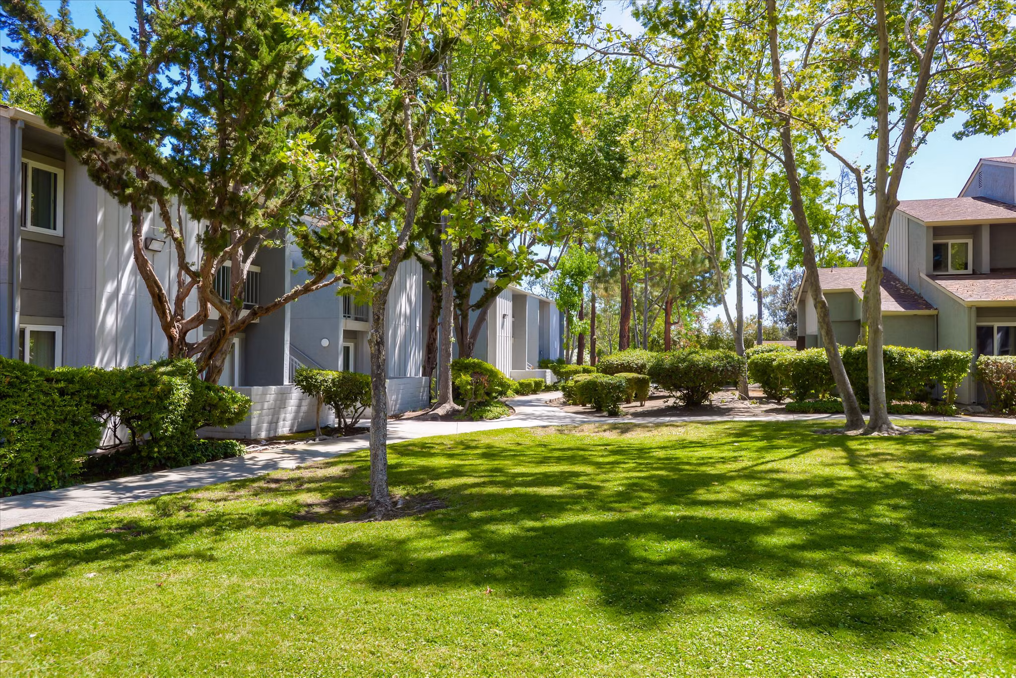 Property images of Terman