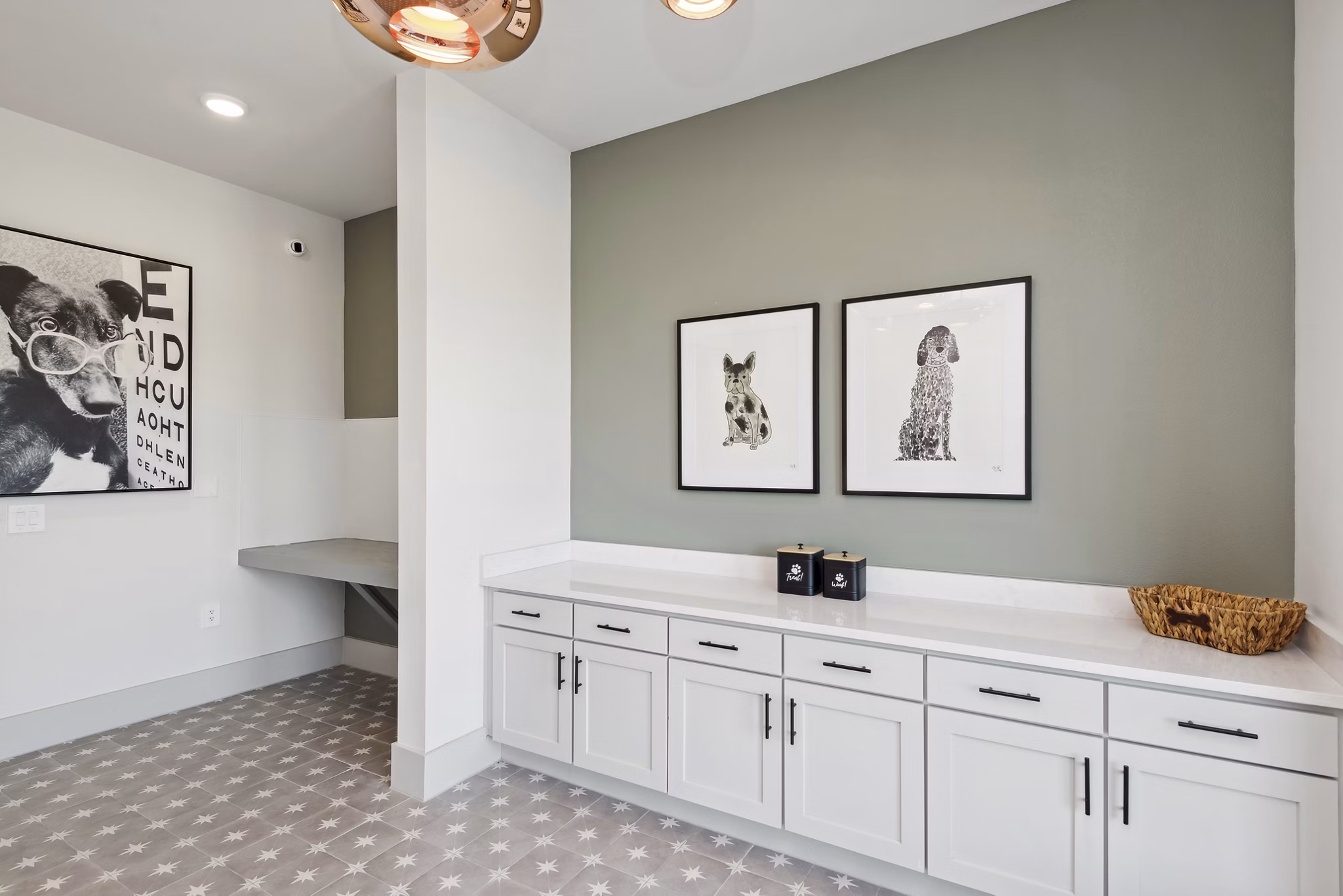 dog wash station at Ascend at Celina Hills Apartments