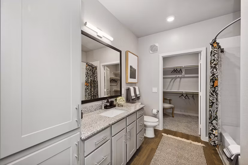 bathroom at Ascend at McKinney North Apartments
