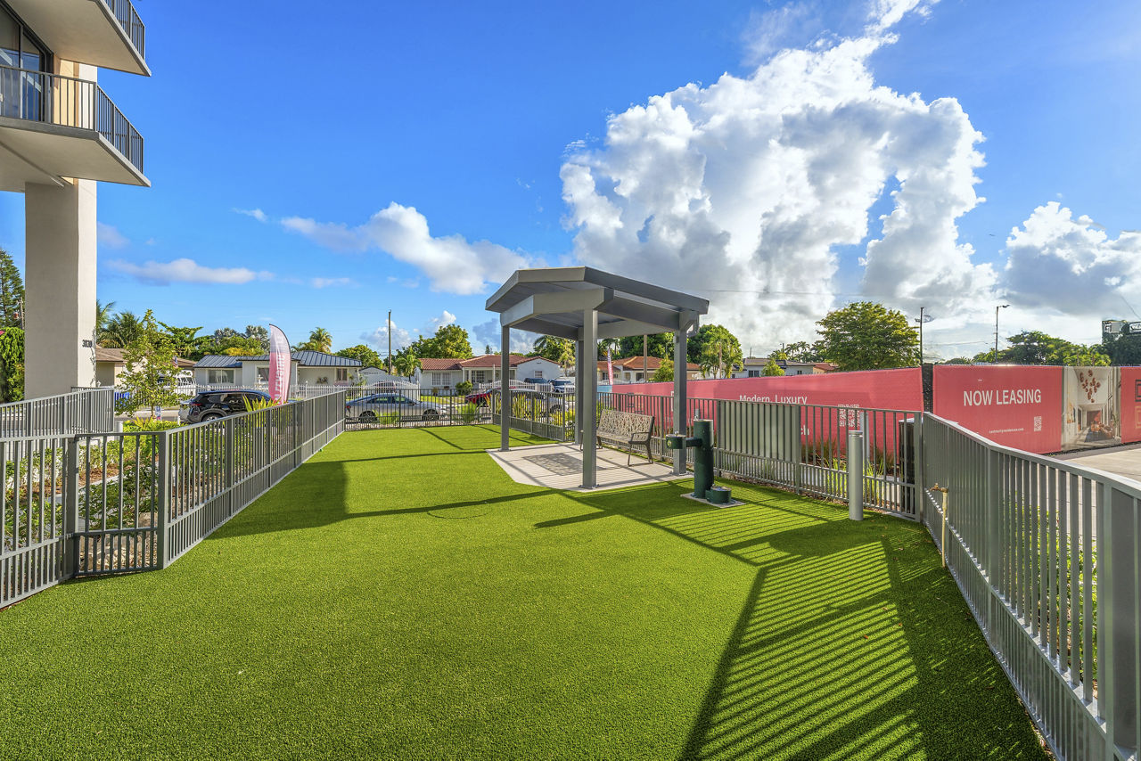 Dog park at Centro City