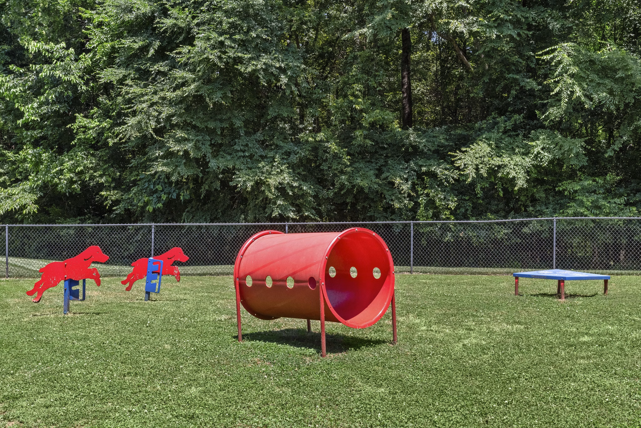 dog park at Avana Creekside Apartments 