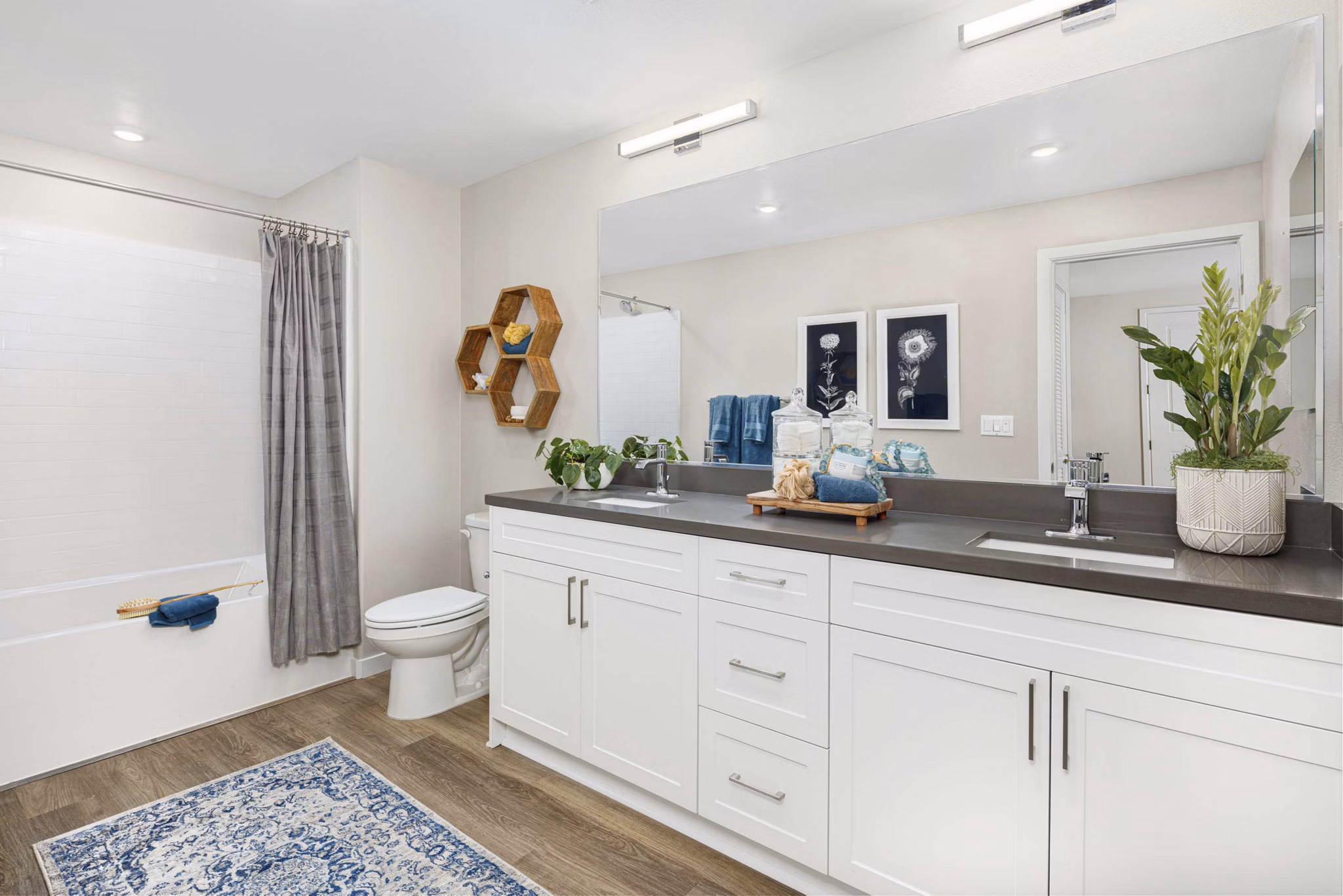 rendering  at Atwell at Folsom Ranch Apartments 