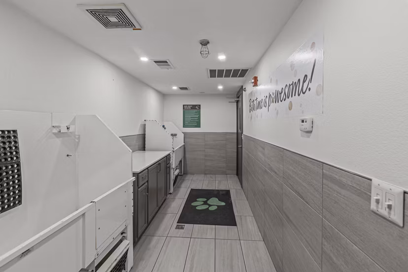 dog wash station at Cleo Apartments