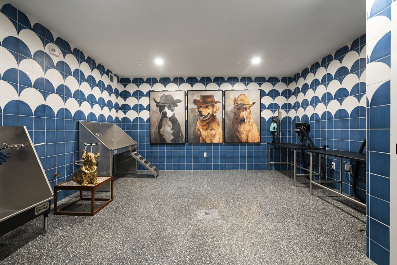 Pet wash at Chamberlain House (1 of 2)