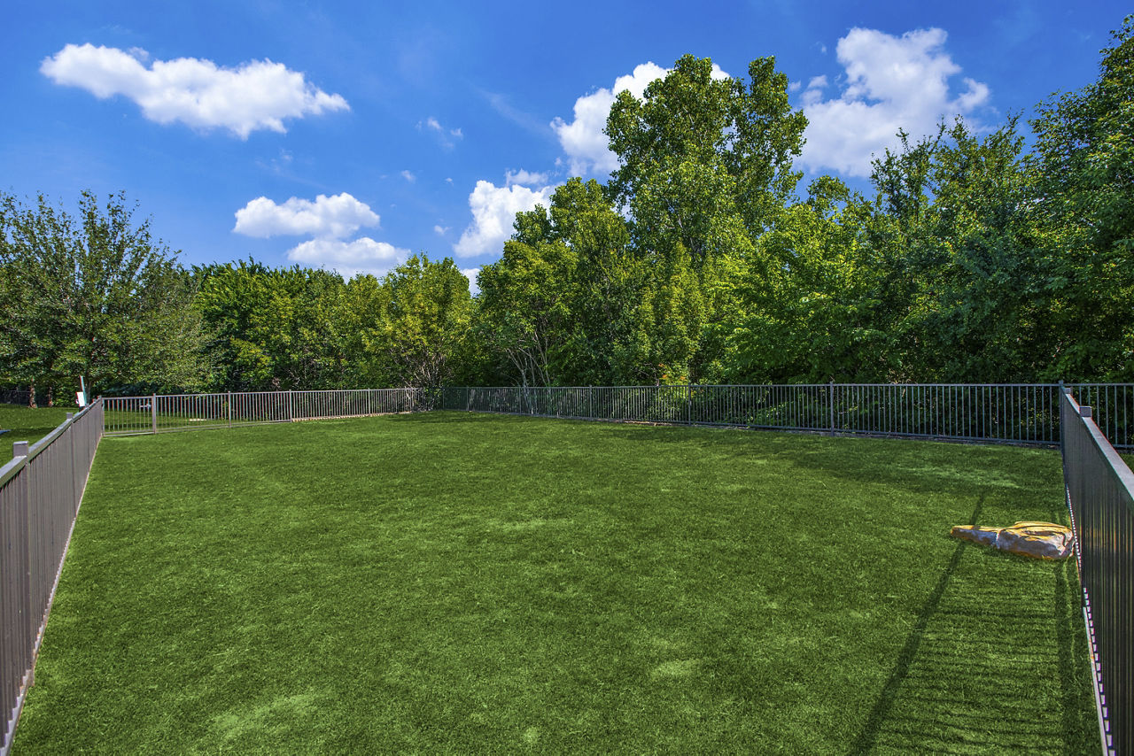 Dog park at The Brook