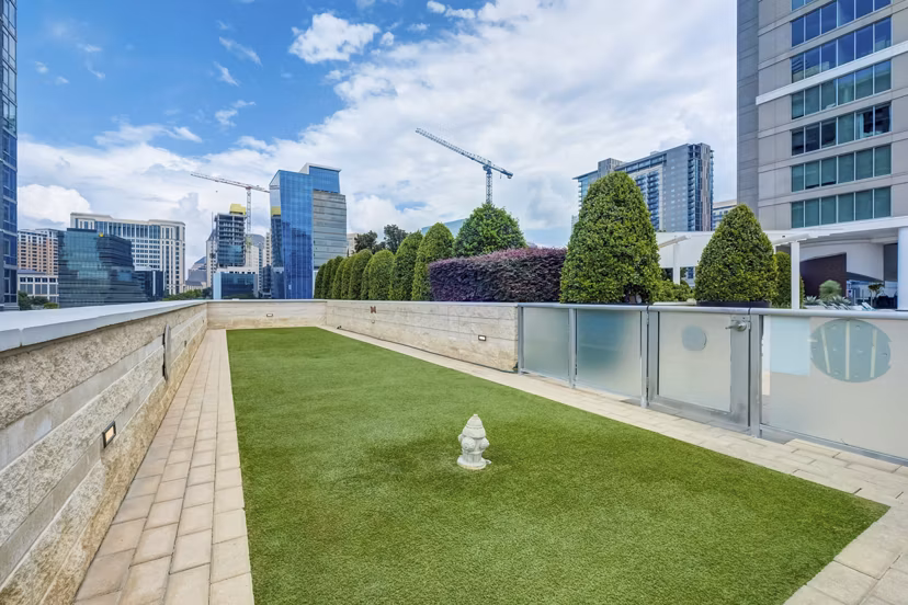 dog park at Cirque Residences Apartments