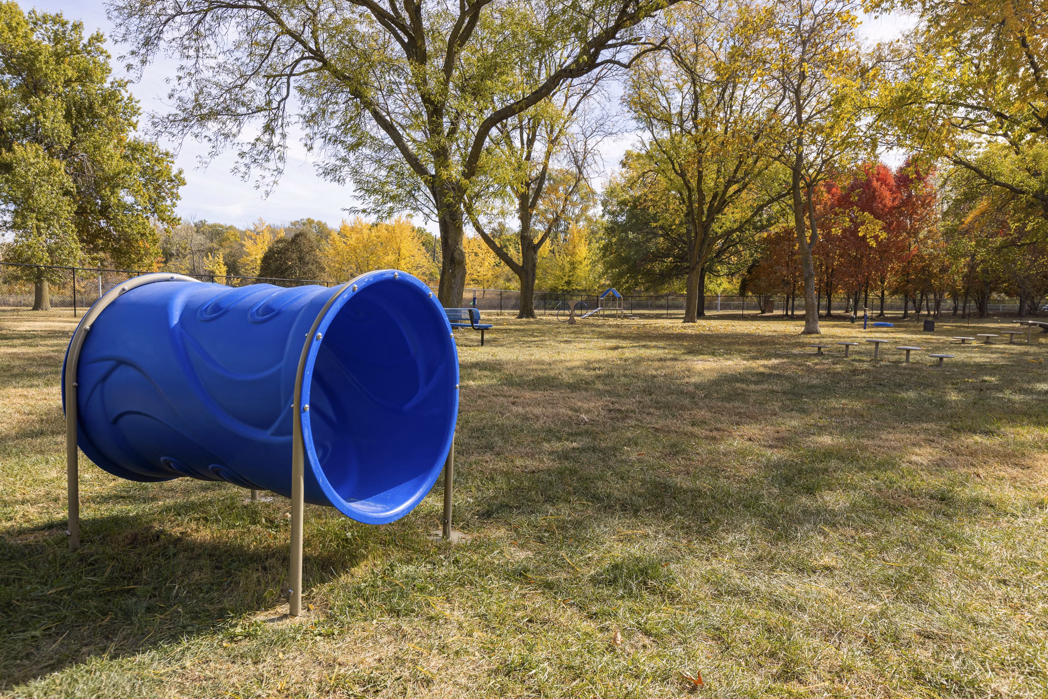 dog park at Aspire at West Campus Apartments